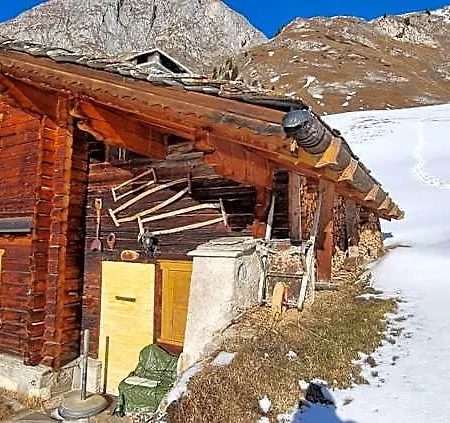 Capetta Hotel 3*